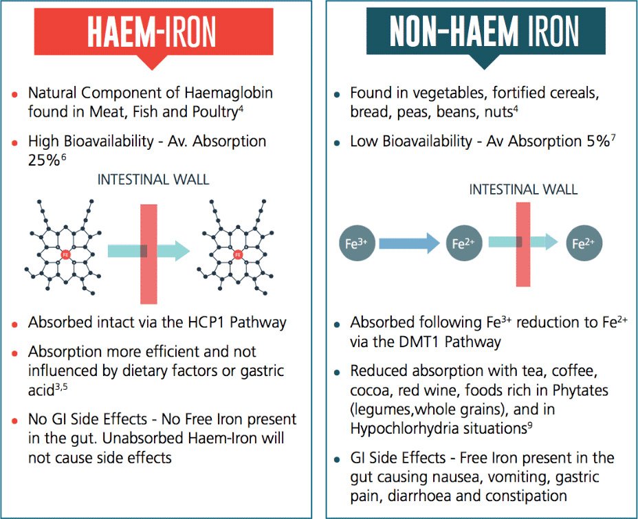 haem and non haeom iron